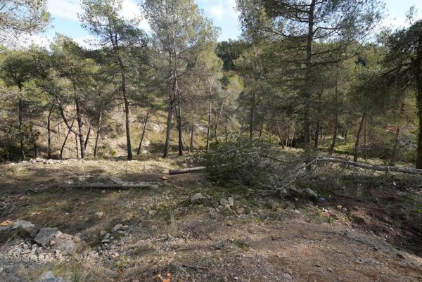 Terreno en calle Solei