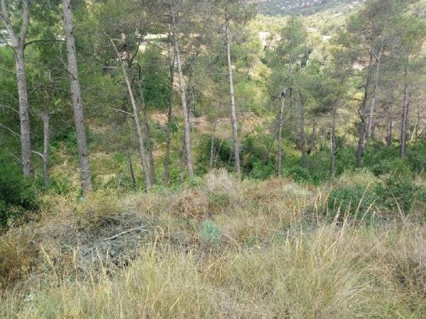 Terreno en Olesa de Bonesvalls