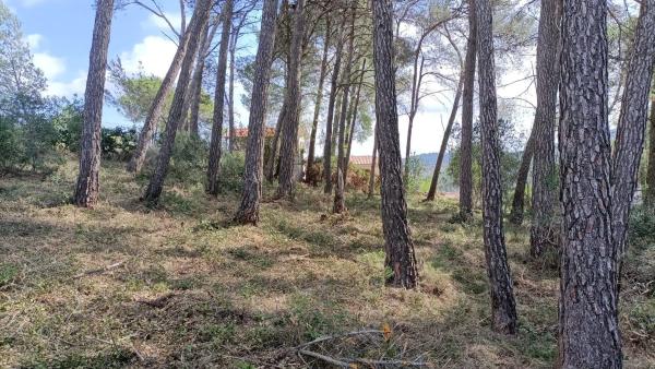 Terreno en calle Vallirana, 24