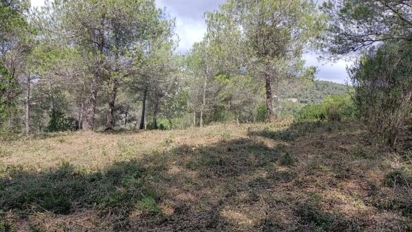 Terreno en calle Vallirana, 24