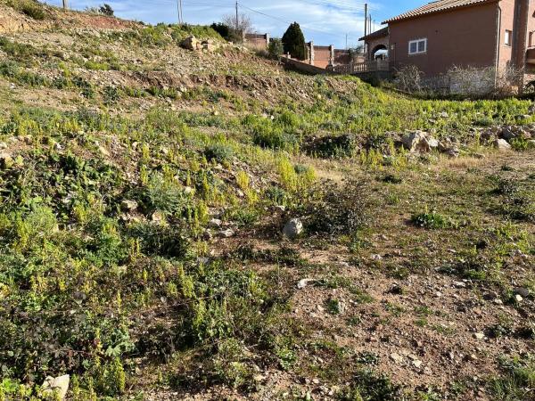Terreno en calle Serral Llarg, 97