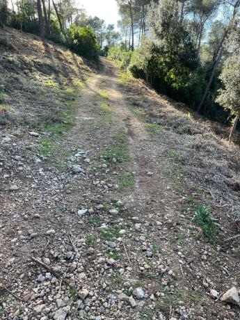 Terreno en calle Serral Llarg, 97