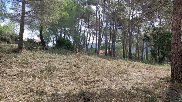 Terreno en calle Vallirana, 24