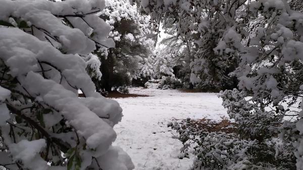 Terreno en calle Serral Llarg, 97