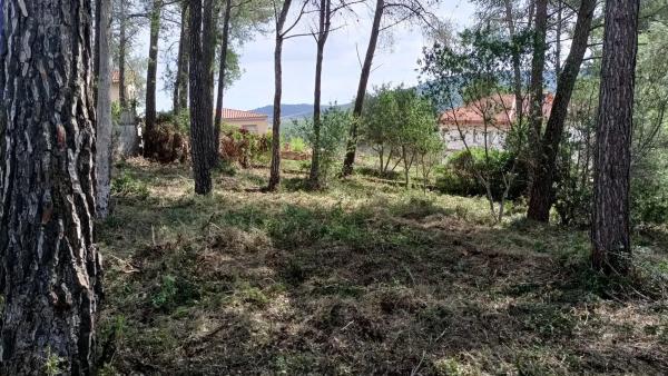 Terreno en calle Vallirana, 24