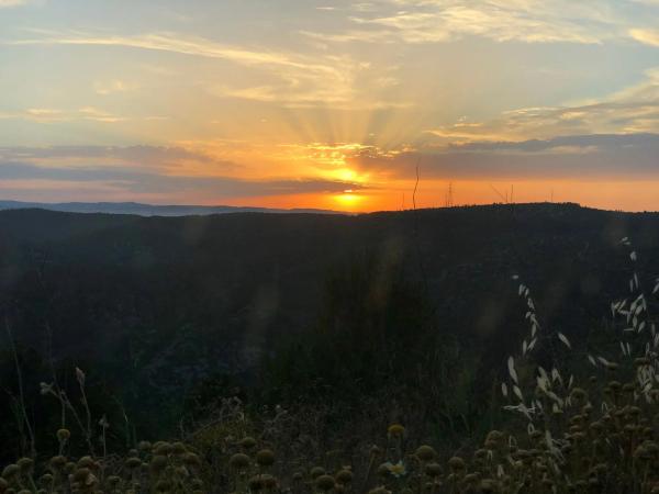 Terreno en calle Serral Llarg, 97