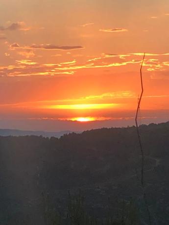 Terreno en calle Serral Llarg, 97