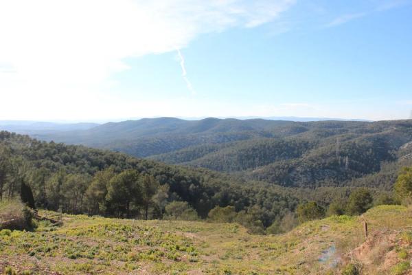 Terreno en calle Serral Llarg, 97