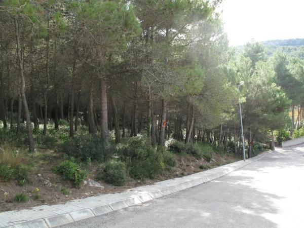 Terreno en Olesa de Bonesvalls