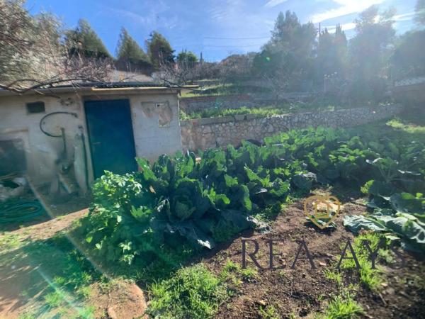 Terreno en Olesa de Bonesvalls