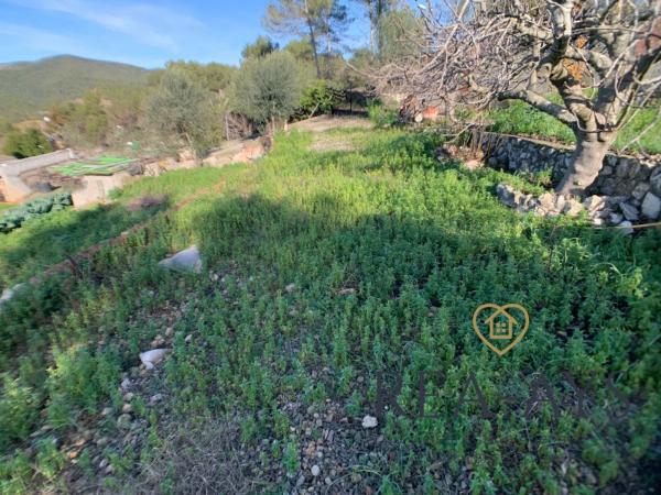 Terreno en Olesa de Bonesvalls