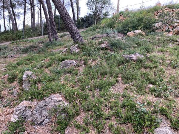 Terreno en Olesa de Bonesvalls