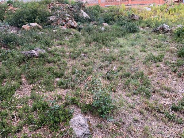 Terreno en Olesa de Bonesvalls