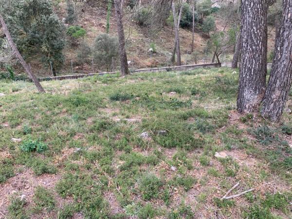 Terreno en Olesa de Bonesvalls