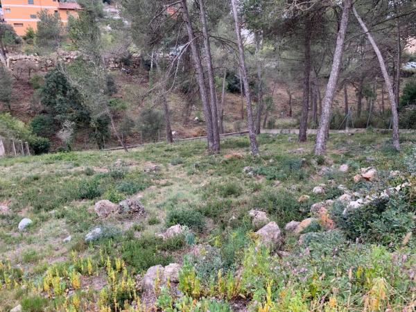 Terreno en Olesa de Bonesvalls