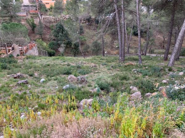 Terreno en Olesa de Bonesvalls