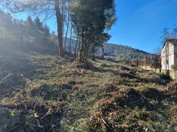 Terreno en calle bosc del samsó, 73