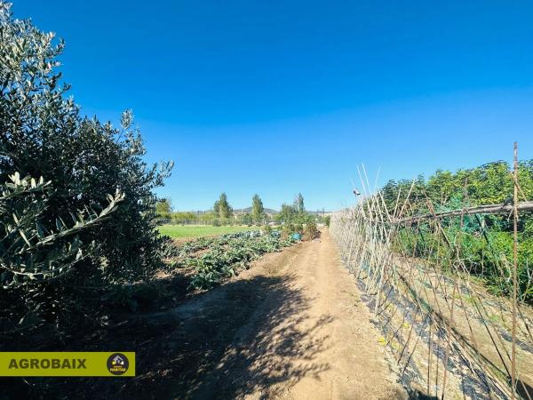 Terreno en Plaça Catalunya - Vinyets