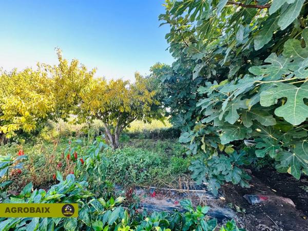 Terreno en Plaça Catalunya - Vinyets