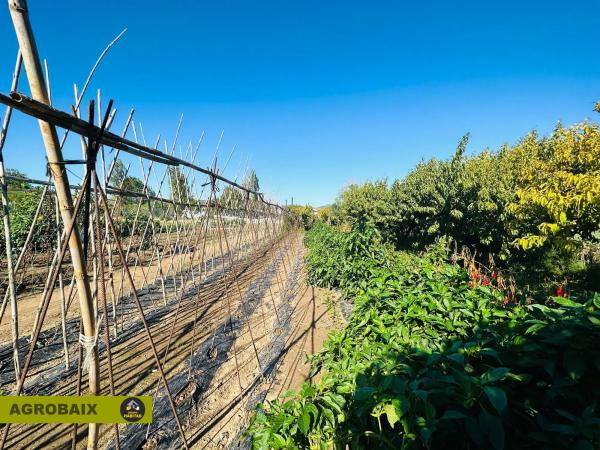 Terreno en Plaça Catalunya - Vinyets