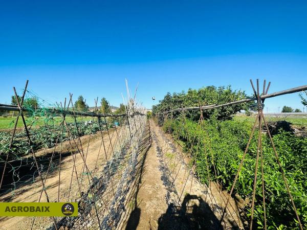 Terreno en Plaça Catalunya - Vinyets