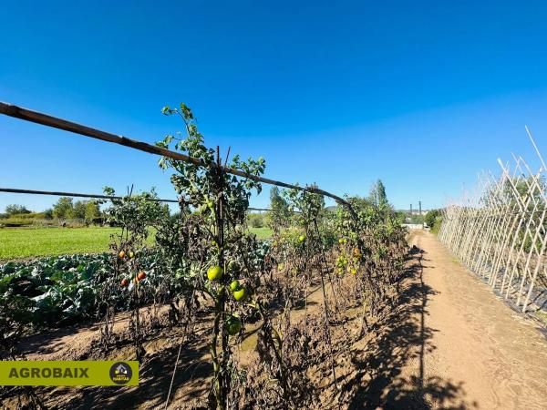 Terreno en Plaça Catalunya - Vinyets