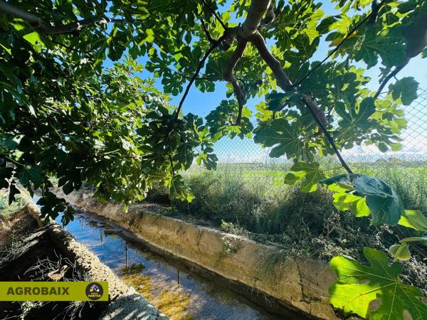Terreno en Plaça Catalunya - Vinyets