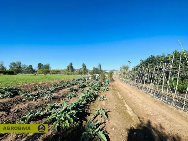 Terreno en Plaça Catalunya - Vinyets