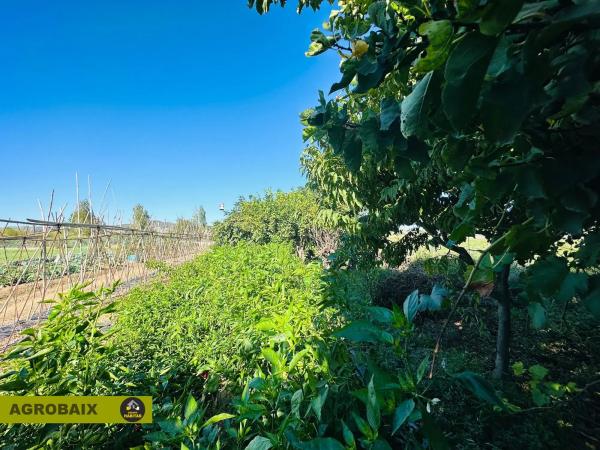 Terreno en Plaça Catalunya - Vinyets