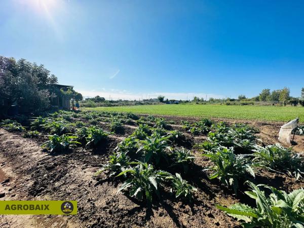 Terreno en Plaça Catalunya - Vinyets