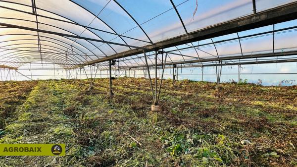 Terreno en Casablanca