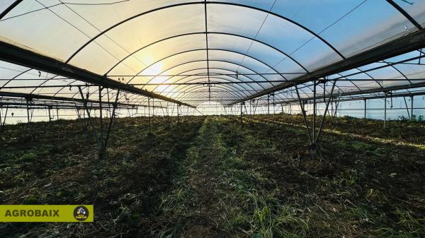 Terreno en Casablanca