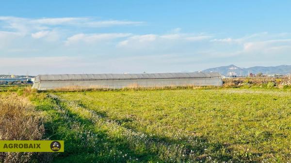 Terreno en Casablanca