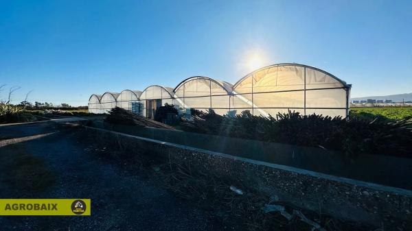 Terreno en Casablanca