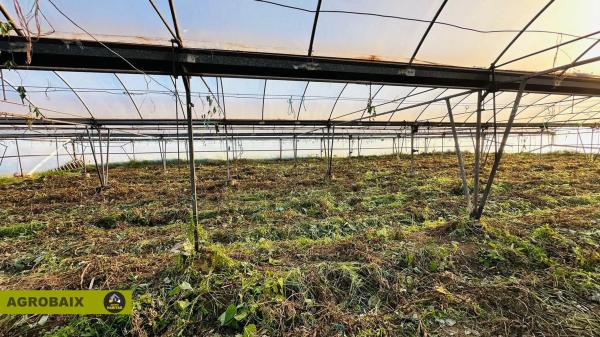 Terreno en Casablanca