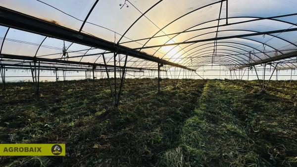 Terreno en Casablanca