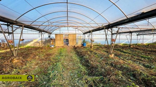 Terreno en Casablanca