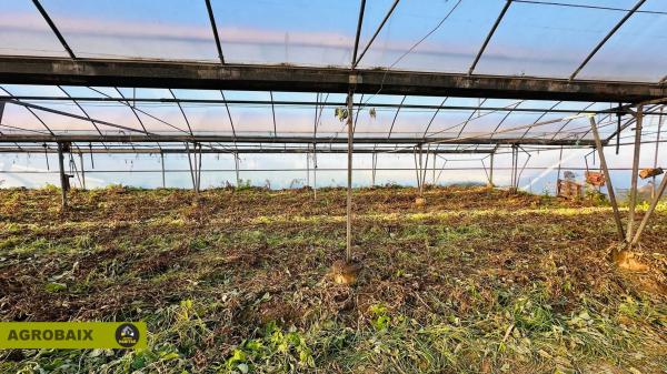 Terreno en Casablanca