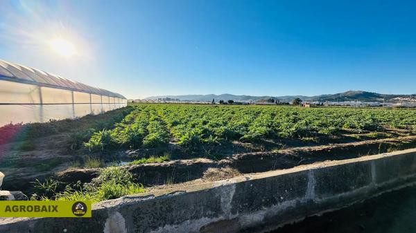 Terreno en Casablanca