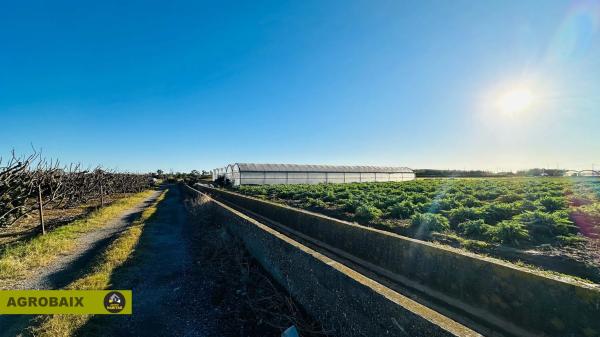 Terreno en Casablanca