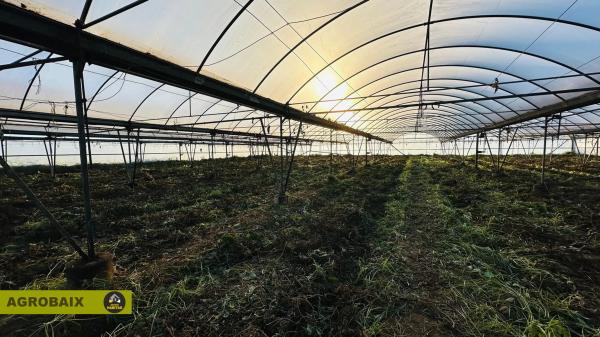 Terreno en Casablanca