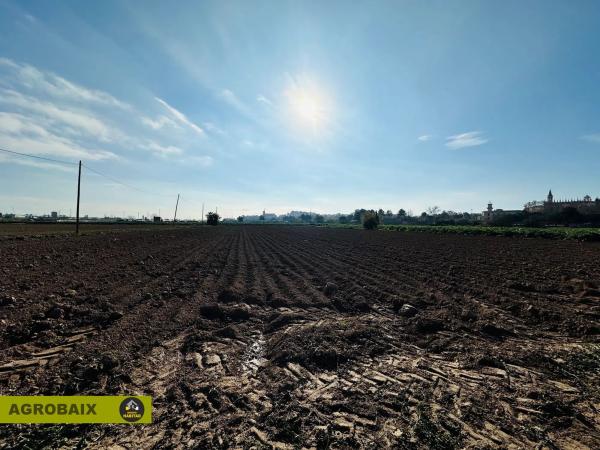 Terreno en Ciutat Cooperativa - Moli Nou