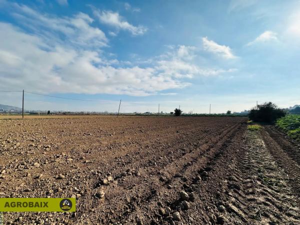 Terreno en Ciutat Cooperativa - Moli Nou