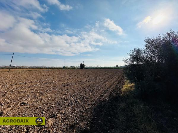Terreno en Ciutat Cooperativa - Moli Nou