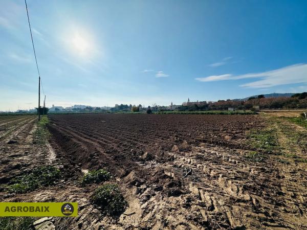 Terreno en Ciutat Cooperativa - Moli Nou