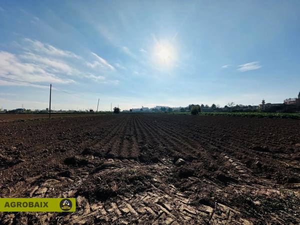 Terreno en Ciutat Cooperativa - Moli Nou