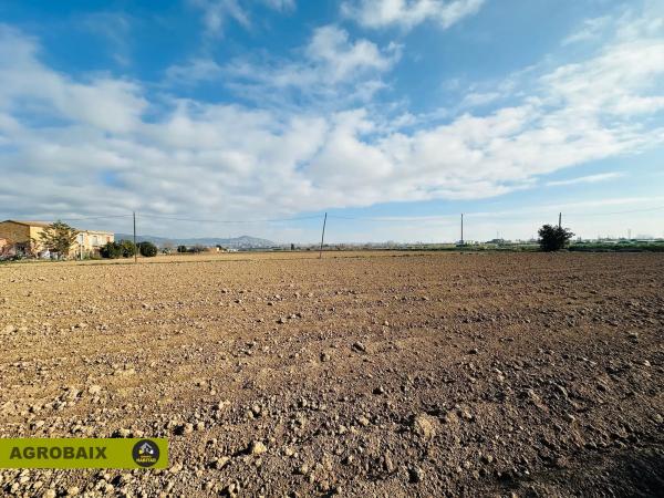 Terreno en Ciutat Cooperativa - Moli Nou
