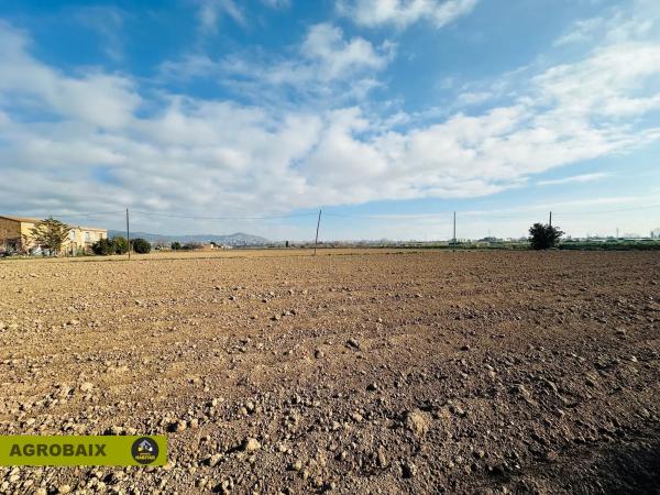 Terreno en Ciutat Cooperativa - Moli Nou