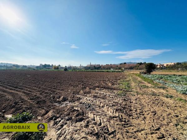 Terreno en Ciutat Cooperativa - Moli Nou