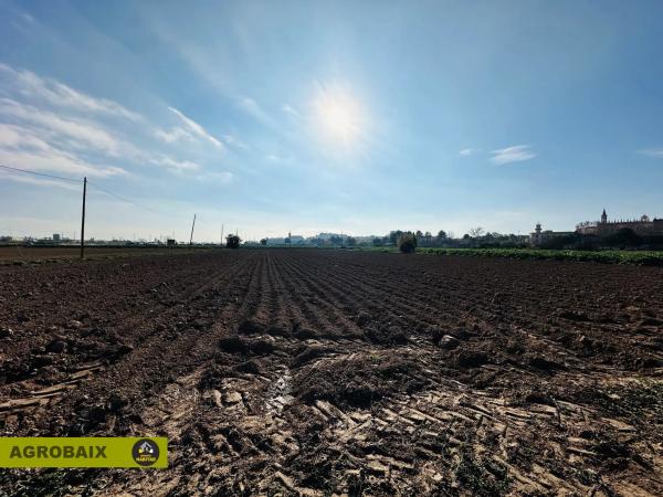 Terreno en Ciutat Cooperativa - Moli Nou